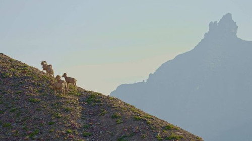 The Wonder List with Bill Weir Season 4 Episode 1 - Montana: Saving the Last Best Place