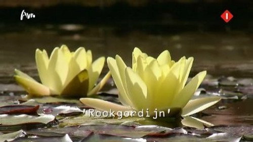 Wie is de Mol? Season 12 Episode 6 - Rookgordijn (Smoke screen)