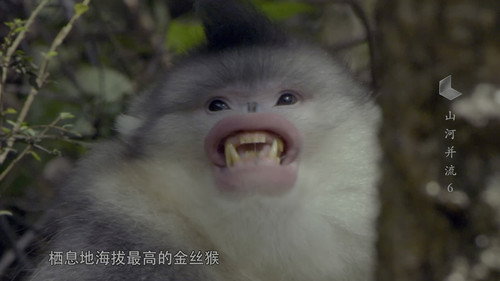 China: The Sublime Season 1 Episode 6 - Episode 6