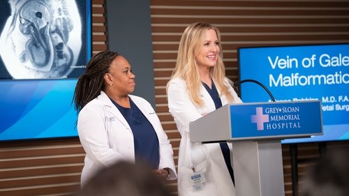 Grey's Anatomy Season 20 Episode 4 - Baby Can I Hold You