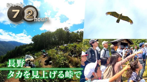 Nagano: Watching for Hawks still