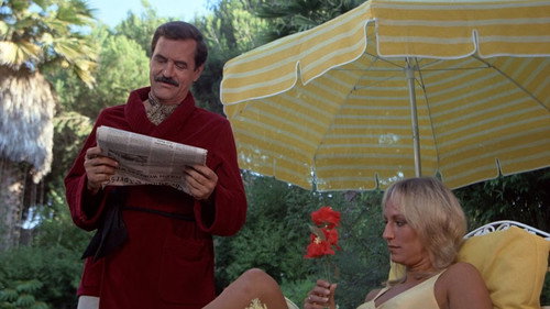 Hart to Hart Season 3 Episode 10 - From the Depths of My Hart