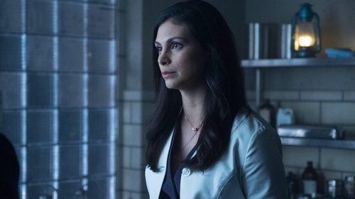 Gotham Season 3 Episode 14 - Mad City: The Gentle Art of Making Enemies