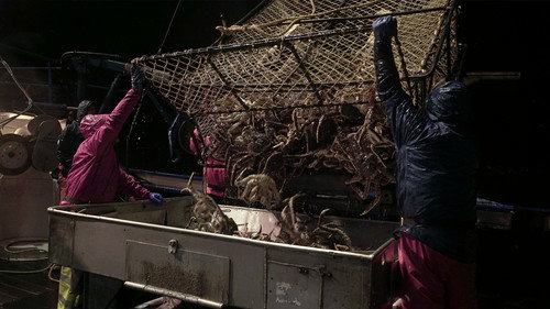 Deadliest Catch Season 14 Episode 2 - First Blood