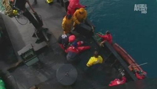 Whale Wars Season 1 Episode 6 - Ladies First