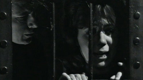 DS-256 still