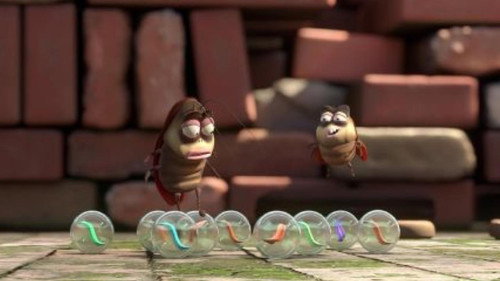 Larva Season 5 Episode 24 - Episode 24