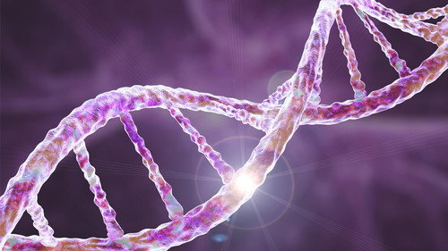 PBS Space Time Season 2025 Episode 15 - How Did SPACE Shape Your DNA?