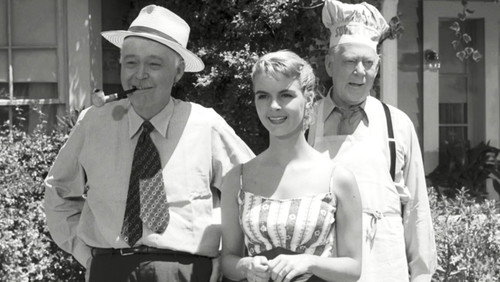 Perry Mason Season 1 Episode 4 - The Case of the Drowning Duck