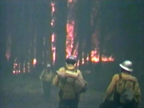 Firefighting: The Arson Detectives still