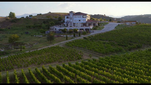 The Grapes of Guilt Season 2 Episode 6 - Cabernet Franc