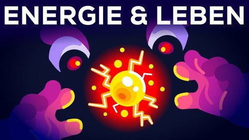 Kurzgesagt - In a Nutshell Season 8 Episode 5 - Why Are You Alive – Life, Energy & ATP