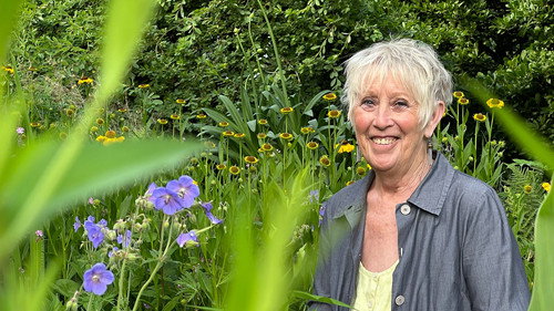Gardeners' World Season 59 Episode 20 - Episode 20