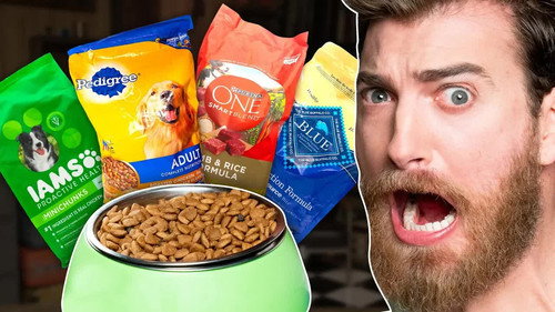 What's The Best Dog Food? Taste Test still