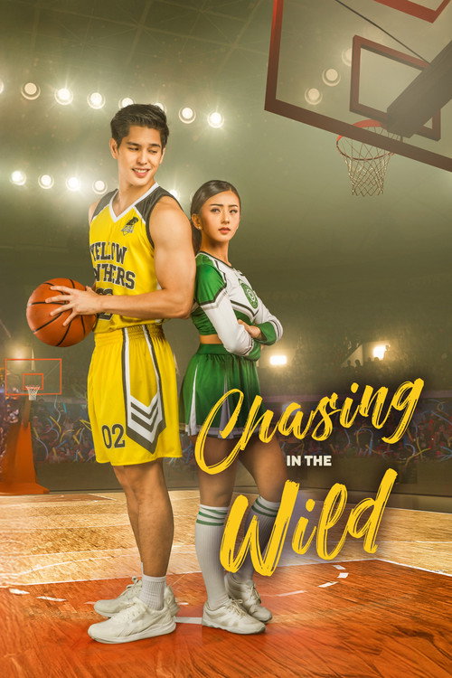 Chasing in the Wild poster