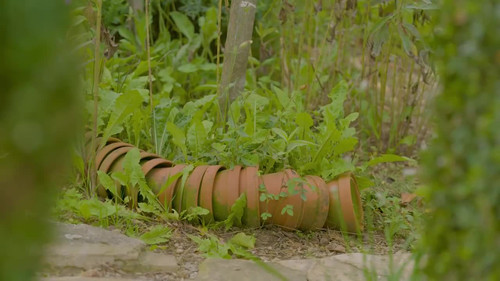 Natur im Garten Season 25 Episode 16 - Episode 16
