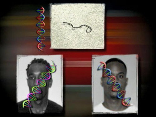 Forensic Files Season 7 Episode 16 - Within a Hair