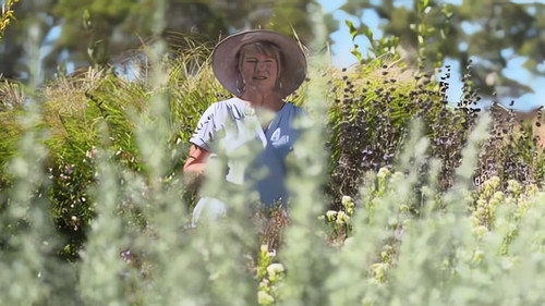 Gardening Australia Season 32 Episode 15 - Episode 15 Autumn Action, Make a Gate & Botanical Brew
