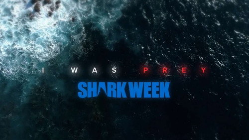 Shark Week Season 32 Episode 16 - Great White Kill Zone: Guadalupe