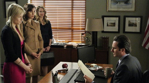 The Good Wife Season 3 Episode 16 - After The Fall