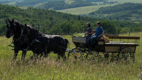 Heartland Season 8 Episode 7 - Walk a Mile