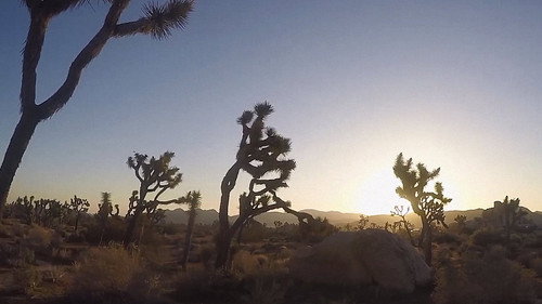 PARK'D with Abby Hornacek Season 1 Episode 1 - Joshua Tree