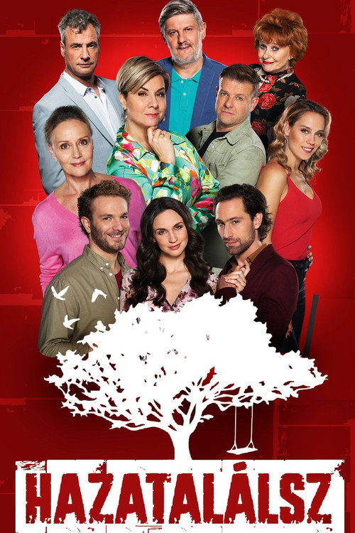 Hazatalálsz poster
