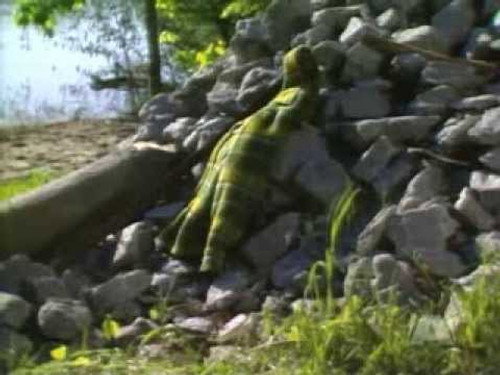 The Littlest Hobo Season 3 Episode 5 - Suspect