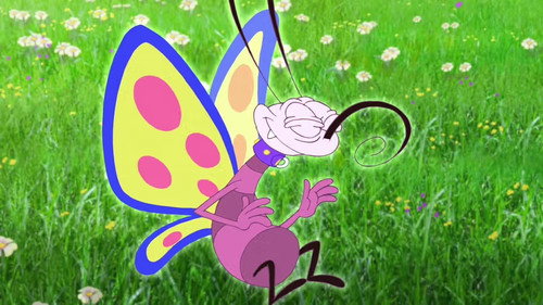Butterfly Race still
