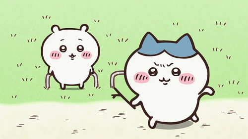 Chiikawa Season 1 Episode 30 - I Want a Camera / Ei!