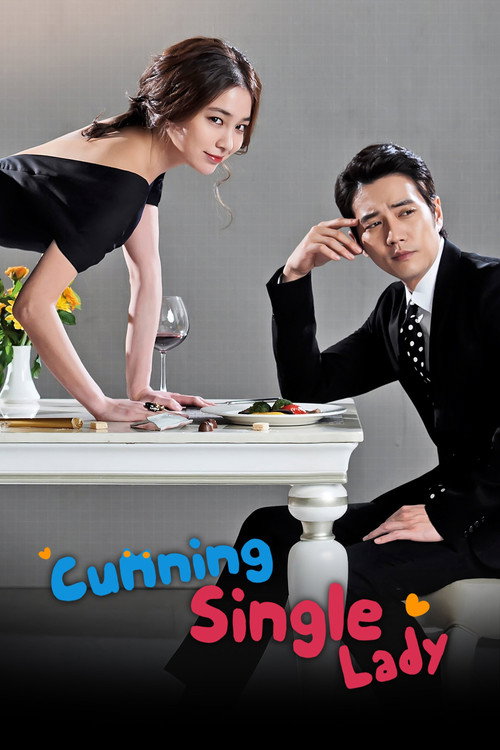 Cunning Single Lady poster