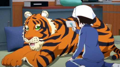 Ramen Akaneko Season 1 Episode 5 - 5th Serving: "Brushing Makes Cat Talkative" "The Calm Superior" "Way to Go!"