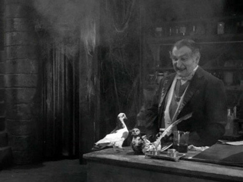 undefined Season 2 Episode 4 - Herman Munster, Shutter Bug
