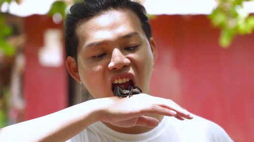 ERROR Crazy Trip Season 2 Episode 20 - 大结局