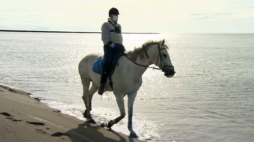 Wild Hokkaido! Season 4 Episode 14 - Early Summer on the Ishikari Coastline
