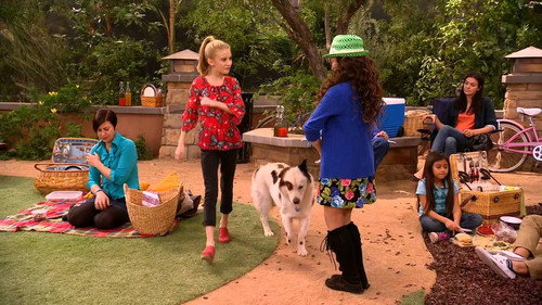 Dog with a Blog Season 1 Episode 22 - Stan's Old Owner