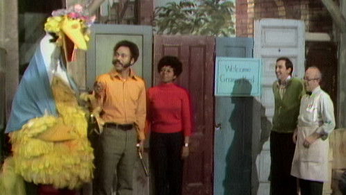 Sesame Street Season 1 Episode 30 - Granny Bird Visits (0030)