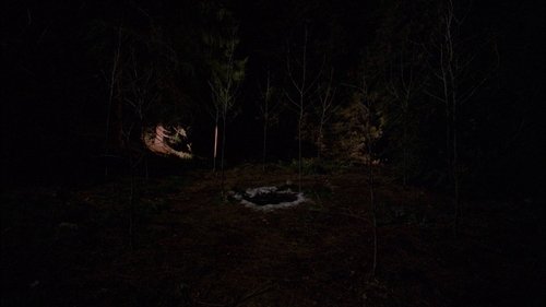 undefined Season 2 Episode 20 - The Path to the Black Lodge