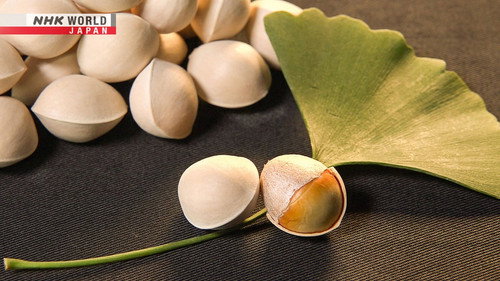 Trails to Oishii Tokyo Season 4 Episode 21 - GINKGO NUTS