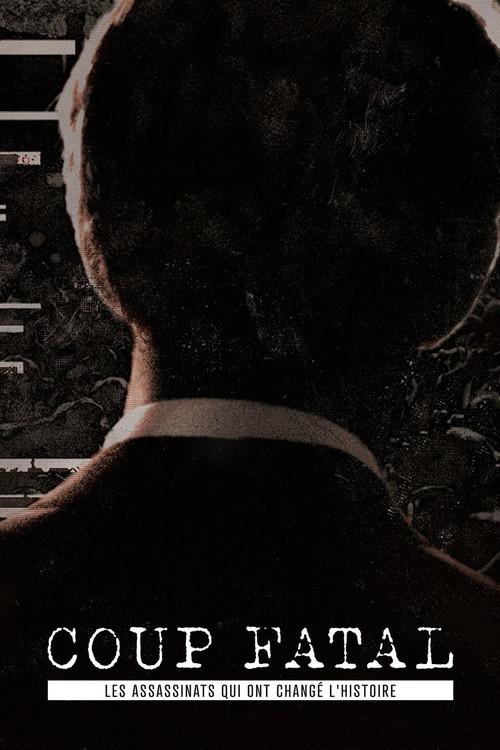 Fatal Shot poster