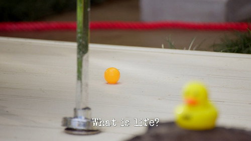 Taskmaster Season 4 Episode 2 - What Is Life?