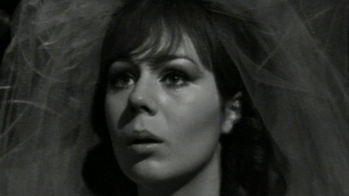 DS-241 still