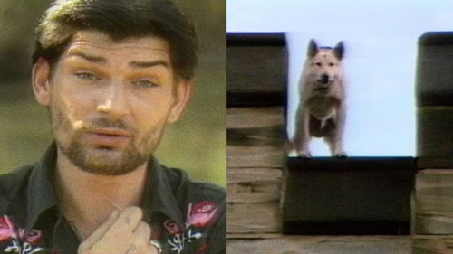 Split Screen Season 2 Episode 20 - Almost Heaven, West Virginia