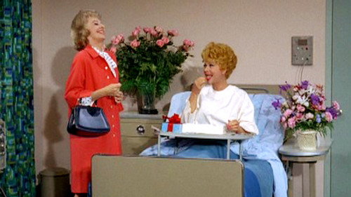 The Lucy Show Season 6 Episode 12 - Lucy Sues Mooney