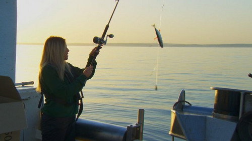 The Apprentice Season 16 Episode 4 - Fishing