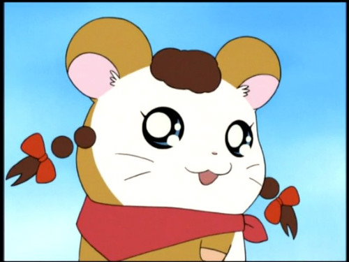 Hamtaro Season 1 Episode 37 - Oxnard's Big Crush