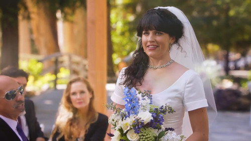 Adam Ruins Everything Season 1 Episode 15 - Adam Ruins Weddings
