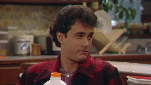Family Ties Season 1 Episode 15 - The Fugitive  (2)