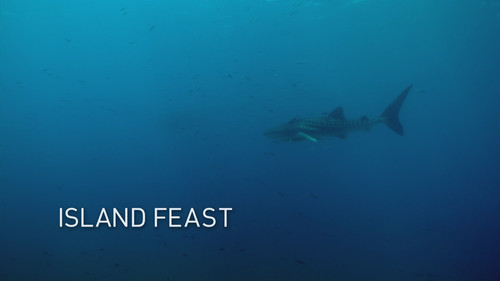 Arabian Seas Season 1 Episode 3 - Island Feast