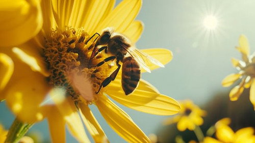 Can We Replace Pollination? still